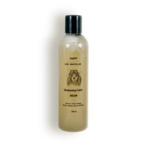 Shampooing Huile d'Argan